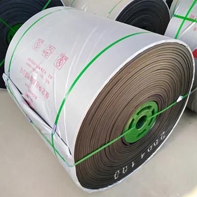 Quality Assured Nylon Conveyor Belt Sale with Best Price