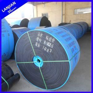 High Friction Nylon Conveyor Belt for Machinery Equipment