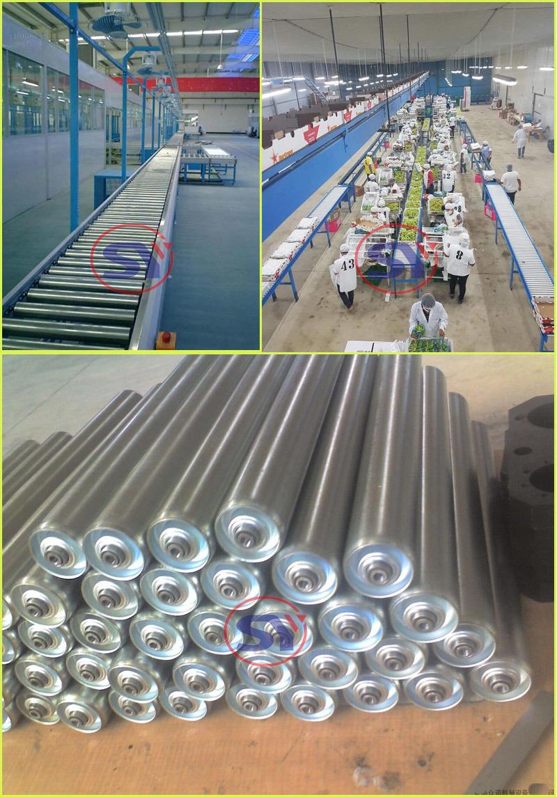 Mobility Roller Conveyor/Conveyer for Bag Gravity Packaging