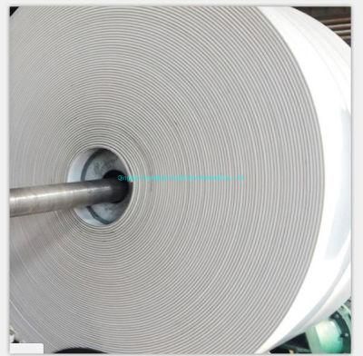 White Colour Rubber Conveyor Belt for Food Grade Plant