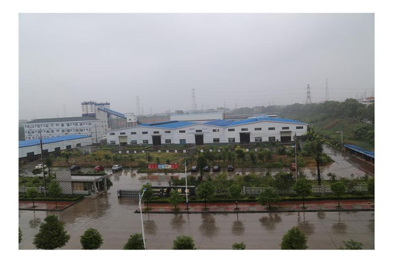 ISO Standard Customized Flexible Curve Chains Table Top Conveyor Chain