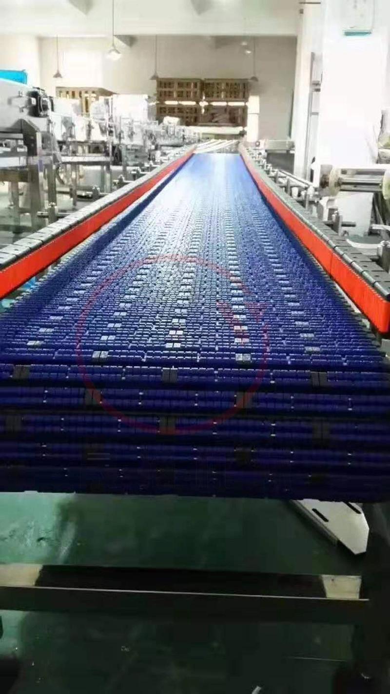 Bottle Packing Sorting Conveyor with Drag Chain Plate