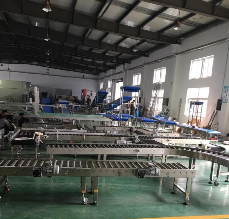 Mesh Conveyor Belt/Stainless Steel Belt Chain Conveyor/Wire Mesh Chain Conveyor