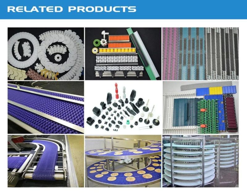 Plastic Conveyor Modular Belt for Production Machine Wtih ISO Certificate