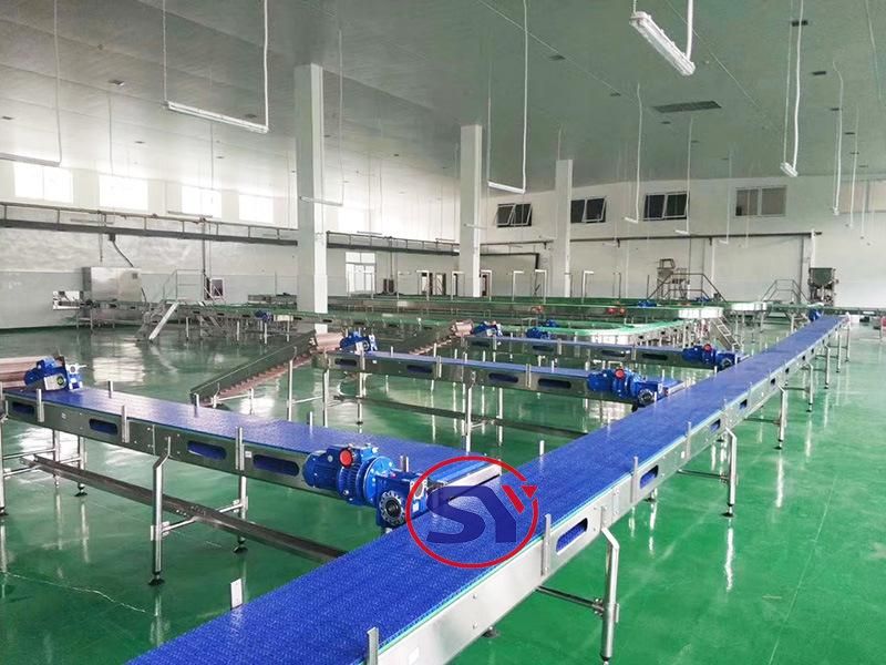 Plastic Slat Bottle Conveyor Belt System