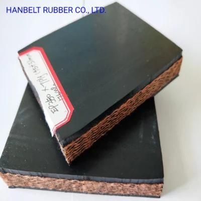 Hot Sale Fire Resistant Rubber Conveyor Belt with Canvas Reinforcement for Cement Plant