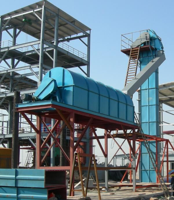 Bucket Elevator with Platform and Ladder