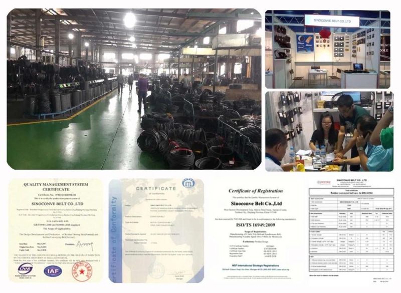 Industrial Heat/Tear/Wear/Fire Resistant Ep Nn Ee Pn Piw Fabric Rubber Conveyor Belt/Sidewall Conveyor Belt/Chevron Transmission Crusher Mesh Conveyor Belt