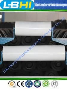 Dia. 89mm Hot Product New-Type Roller with SGS Certificate