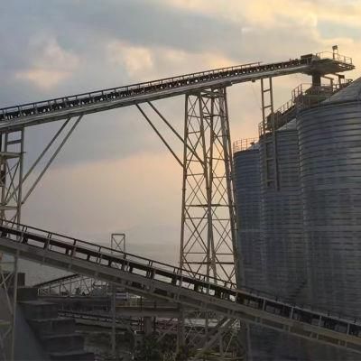 China Supplier Customized Conveyor System for Cement