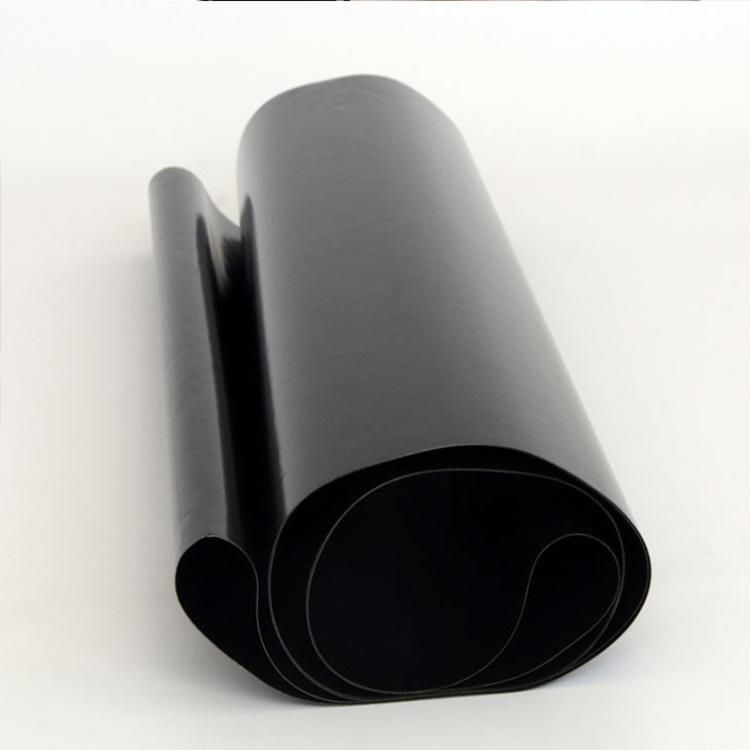 Customized Size PTFE Product Sheet Fabric Seamless Transmission Conveyor Belt