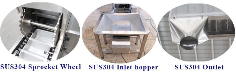 Food Industry Chapelet Bucket Elevator Conveyor for Candy Sweet Packing Line