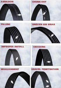 Poly Ribbed V Belt with Best Price for Sale