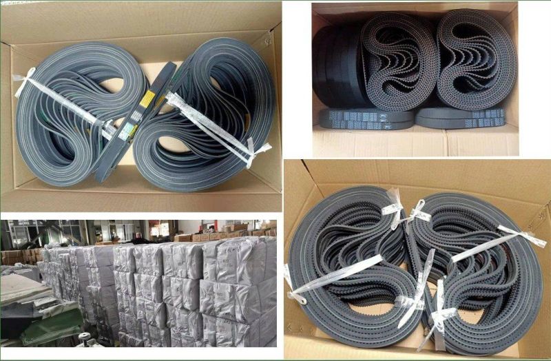 Customized Single Sided PU Timing Belt