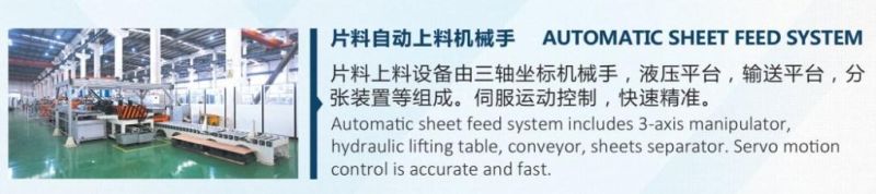 Automatic Sheet Feeding Machine for Elevator Door Production Line