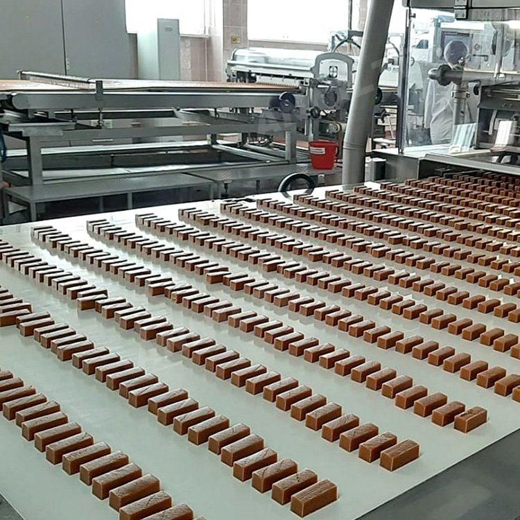 Annilte PU Conveyor Belt Roll for Food Industry