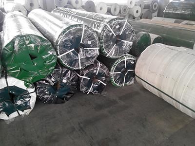 Conveyor Belt (ESS60/1: 0+0.5J2/1.4B/AS) Gymnasium Transport