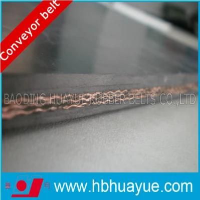 Quality Assured Nylon Conveyor Belt Strength315-1000n/mm Width 400-1600mm