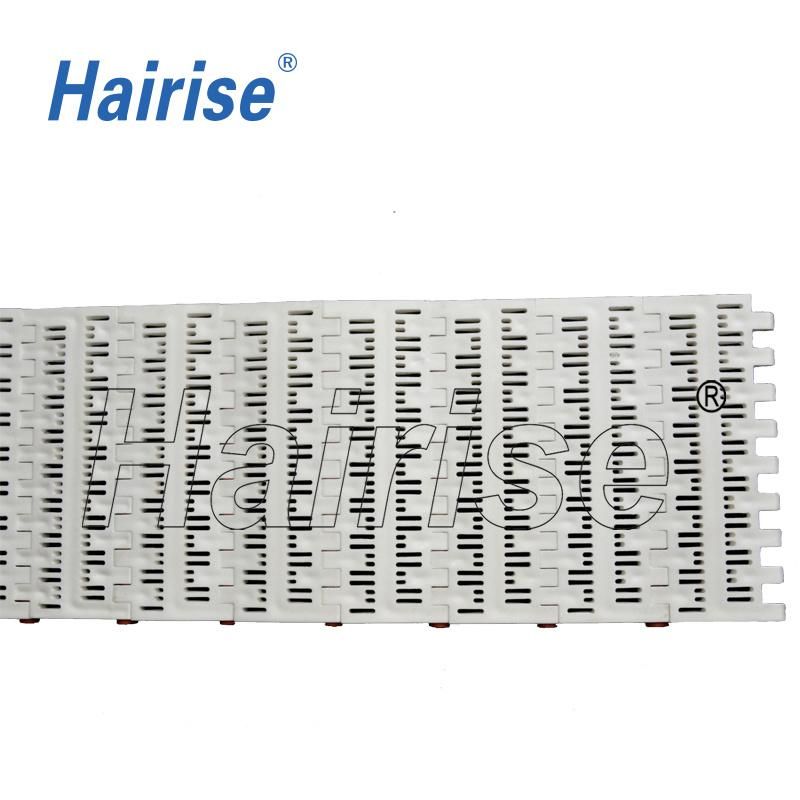Hairise Perforated Top Conveyor Modular Belt