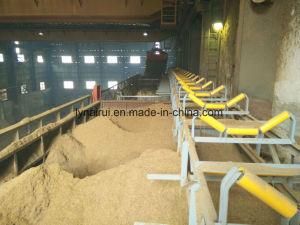 Long Distance Fixed Belt Conveyor for Power Plant