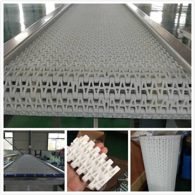Hairise Good Quality Stocket POM Accessories for Conveyor