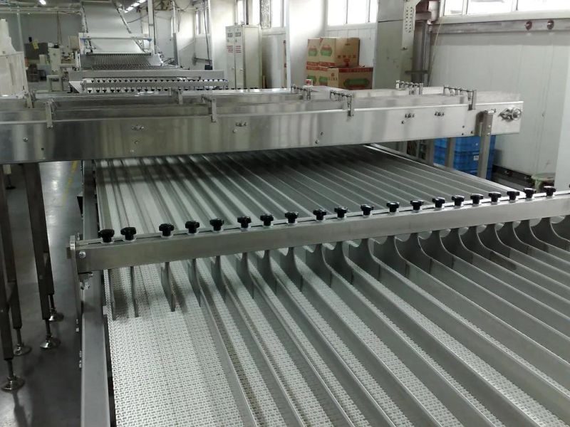 Food Grade Modular Belt Conveyor System for The Material of Moist Seafood Meat Material