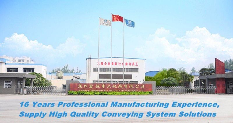 China Top Manufacturer Supply Belt Conveyor