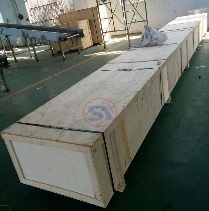 Stainless Steel304 Screw Conveyor Feeder for Packing System with Hopper