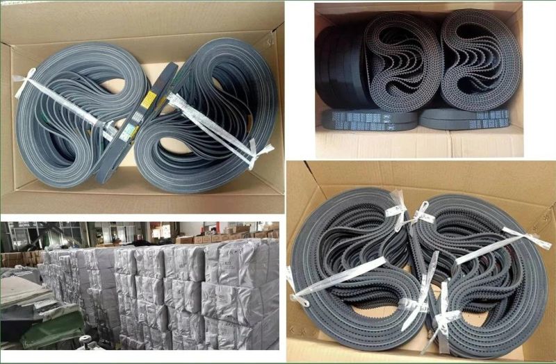 Chemical Pharmaceutical Machinery Timing Belt All Size Can Supply