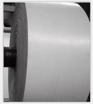 Hotsale Acid and Alkali Resistant White Rubber Conveyor Belts