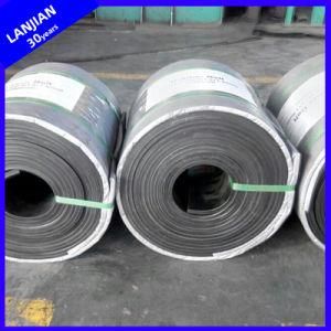 Quality Assured Abrasive Nn100-1000 Nylon Canvas Conveyor Belt