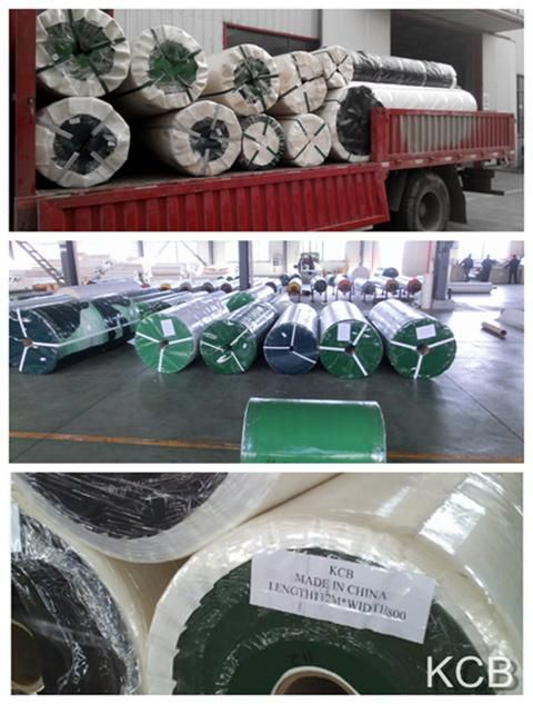 (EM200/2: 0+0.5/1.5SBPU/AS)Conveyor Belt for Food Processing