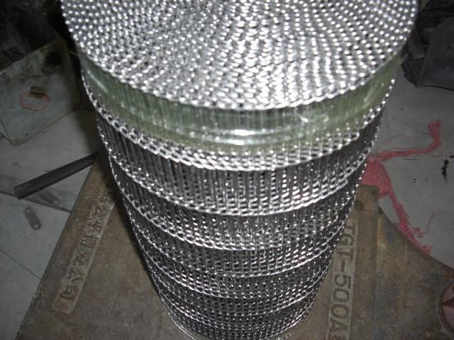 304 /316/Conveyer Belt Mesh for Convery Food Industrial