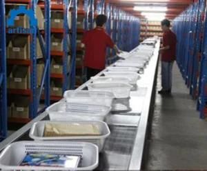 Inexpensive PVC Fruits and Vegetable Continue Conveyor