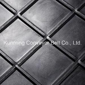 China Conveyor Belt (AEM200/2: 0+5.0SD/7.5B) Plastic Corrugated