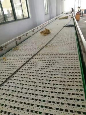 Food Grade Modular Belt Conveyor System