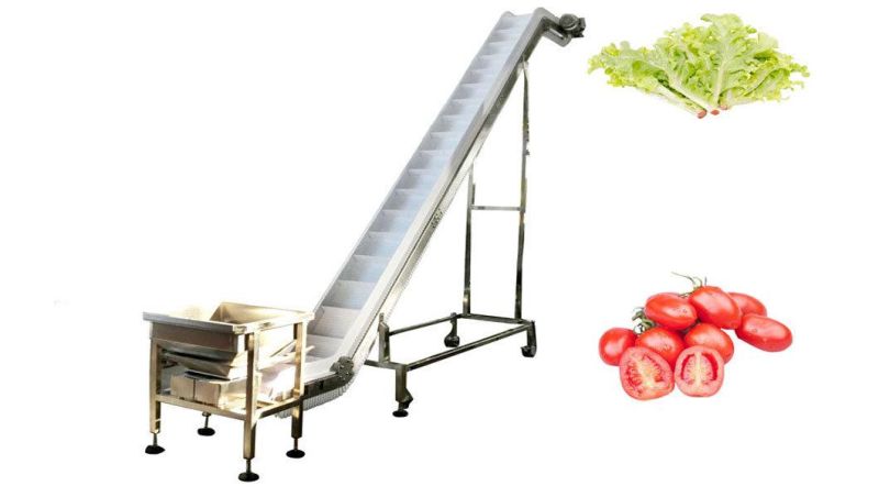 Waterproof Fruits Frozen Food Transport Automatic Inclined Transport Conveyor