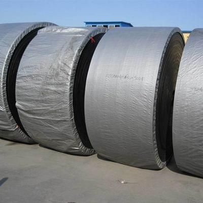 Factory Custom Polyester Nylon OEM Heat Resistant Conveyor Belt