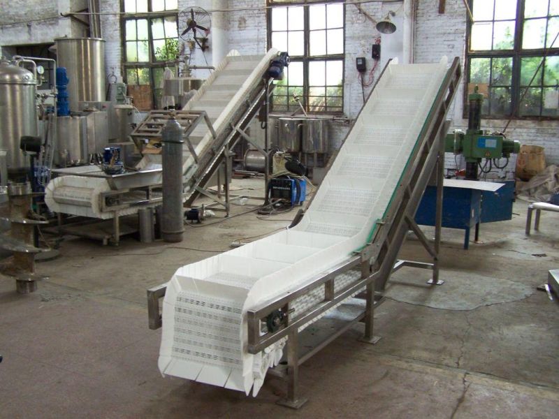 Hot Selling Plastic Mesh Belt Lifting Conveyor Food Transportation