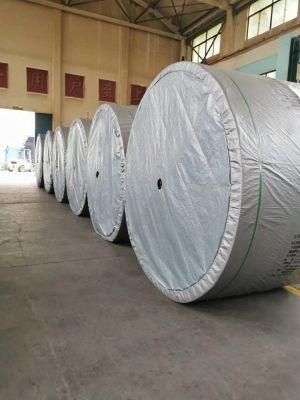 Pure Nylon Rubber Conveyor Belt with Cut Edge for Mining