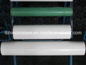 Anti-Corrosion Long-Life Supporting Roller with ISO9001 Certificate (dia. 194)