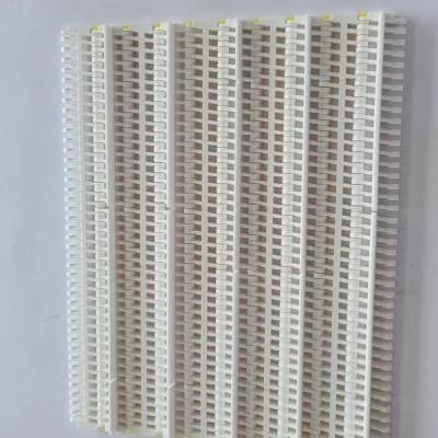 Chain Conveyor Plastic for Beverage/Food Manufacturer