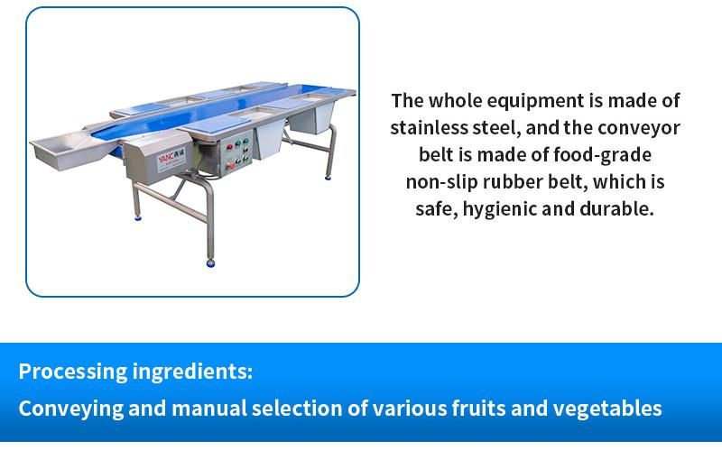 Belt Fruit and Vegetable Sorting Horizontal Conveyor Belt Conveyor