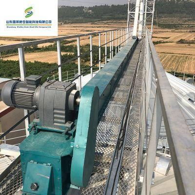 High Performance Grain Tramsportation Chain Drag Conveyor for Sale