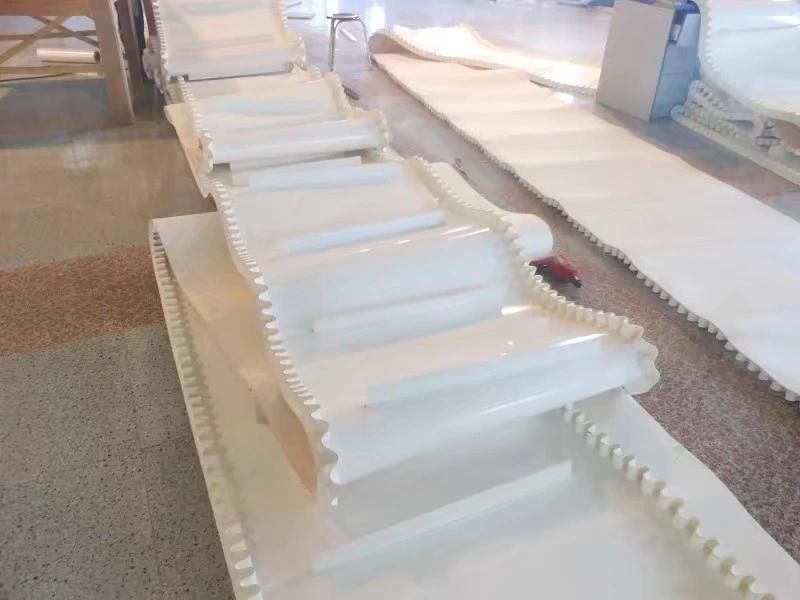 Customized High Quality and Performance OEM PVC/PU Conveyer Belt