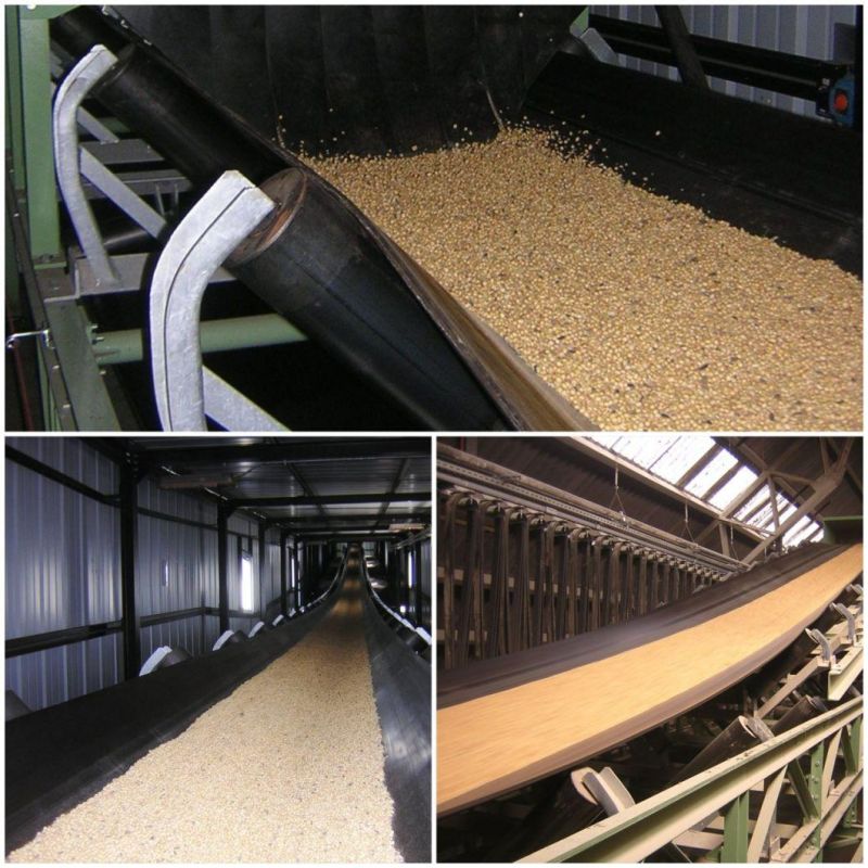 Adjustable Belt Conveyor for Grain Transportation