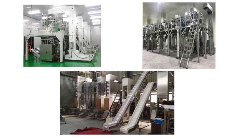 High Speed Food Snack Cookies Potato Chips Transport Z Type Bucket Conveyor