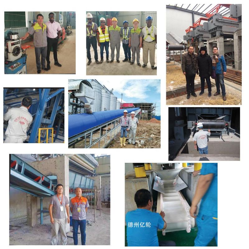 China Belt Manufacturers Multiply Polyester Ep Rubber Conveyor Belt for Sale