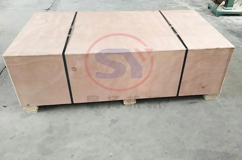 Electric Motor Driven Lifting Chain Plate Conveyor with Best Price