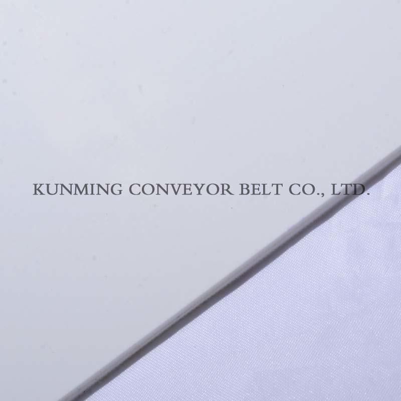 Conveyor Belt PVC (EM120/2: 0+1.0/3.0W)